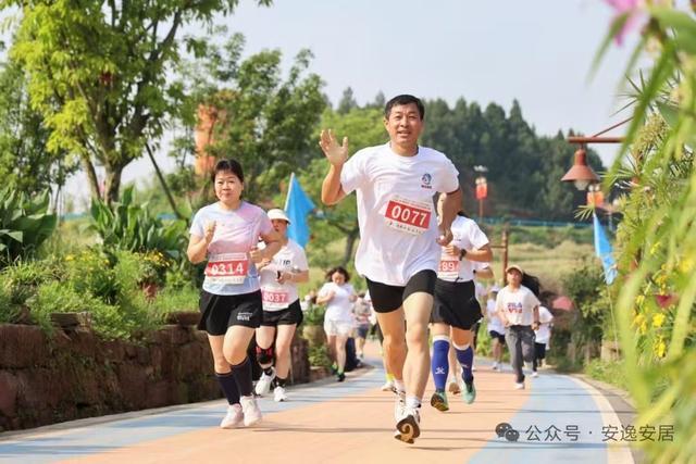 “十四五”安居答卷丨深耕沃野绘新卷振兴乡村谱华章(图20)