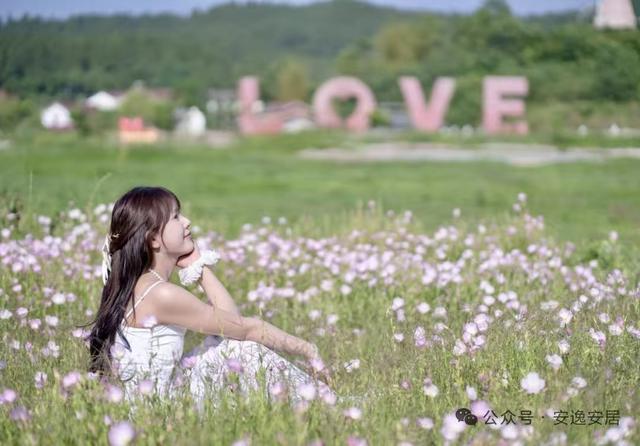 “十四五”安居答卷丨深耕沃野绘新卷振兴乡村谱华章(图21)