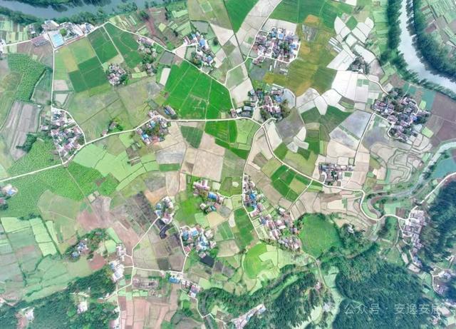 “十四五”安居答卷丨深耕沃野绘新卷振兴乡村谱华章(图24)