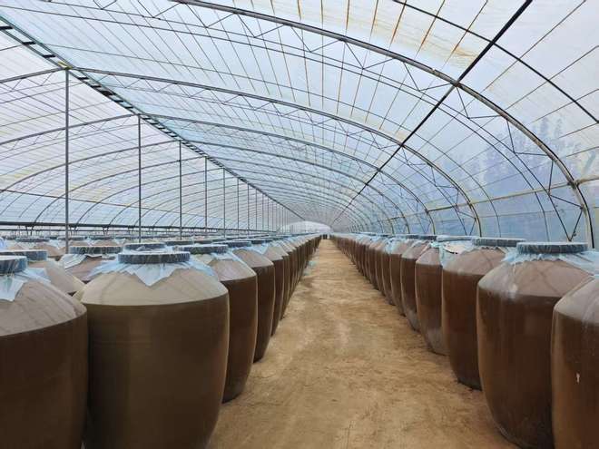 安博体育:果乡破局谋突围——山西省临猗县果业向高质量发展迈进(图5)