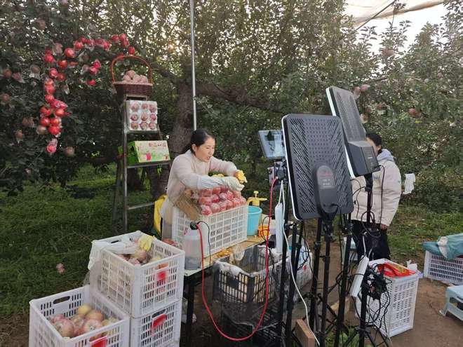 安博体育:果乡破局谋突围——山西省临猗县果业向高质量发展迈进(图3)
