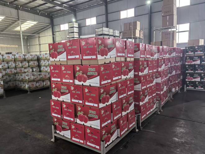 安博体育:果乡破局谋突围——山西省临猗县果业向高质量发展迈进(图4)