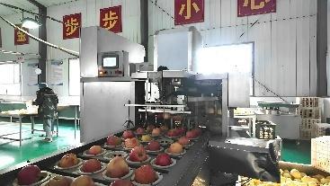 新疆阿拉尔市:团场经济加速转型农业与工业齐头并进(图3)