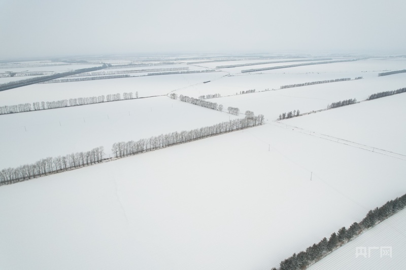 黑土生金黑龙江续写“二十二连丰”答卷(图5)