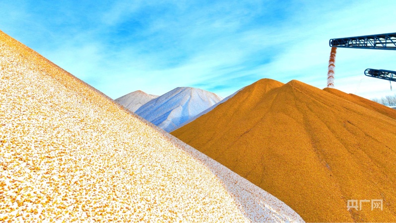 黑土生金黑龙江续写“二十二连丰”答卷(图2)