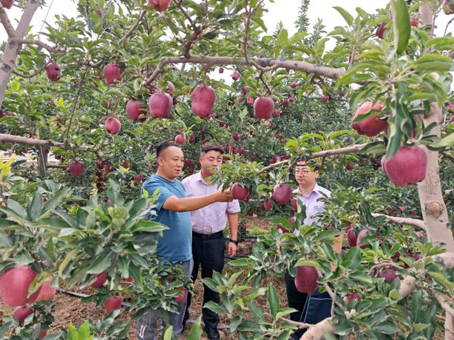 国家强调“扩内需”这事儿跟咱农民有啥关系？(图6)