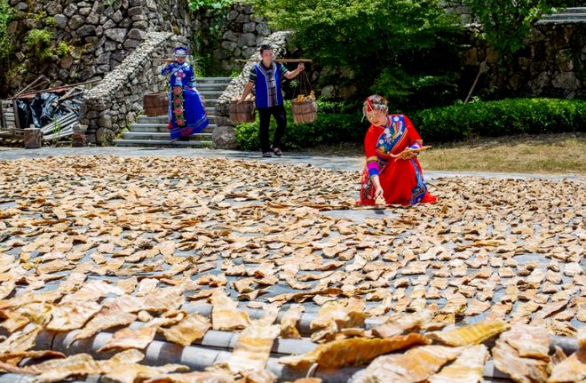 国家强调“扩内需”这事儿跟咱农民有啥关系？(图9)