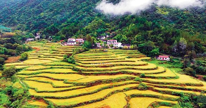 瞭望秦岭“绿心”念好生态经(图1)