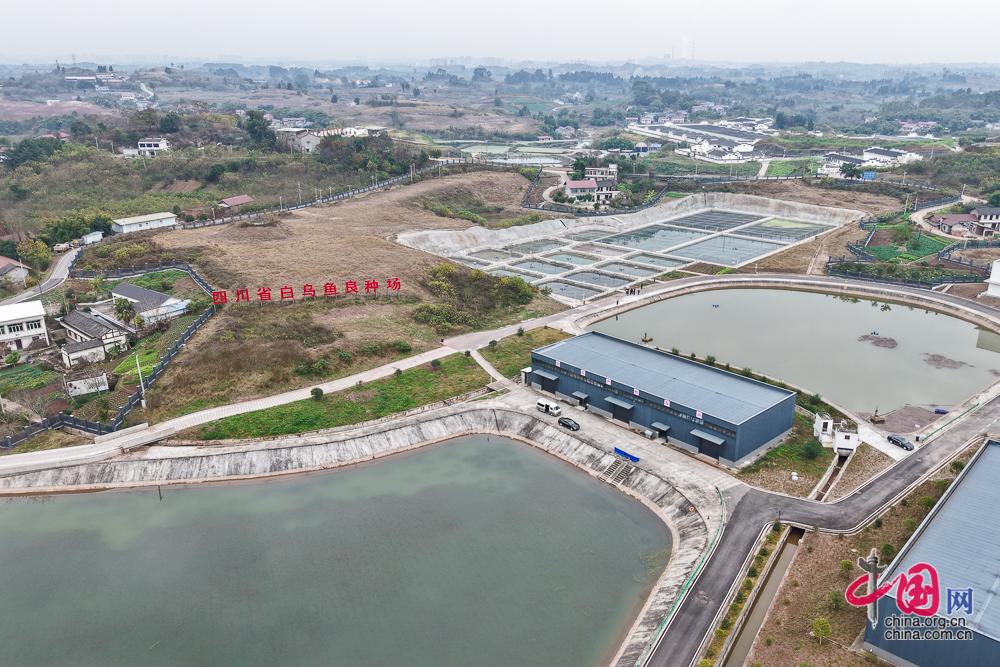 内江特色优势产业为“天府粮仓”添彩赋能(图5)