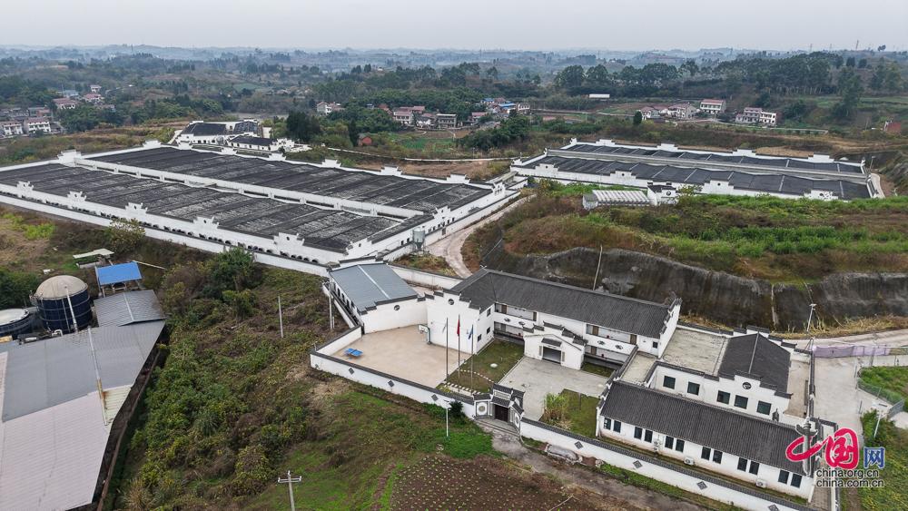 内江特色优势产业为“天府粮仓”添彩赋能(图7)