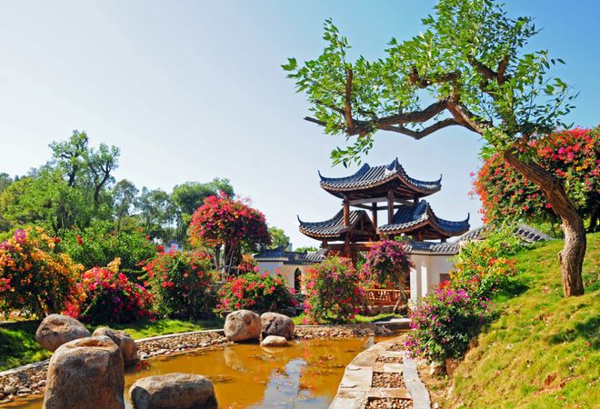 央视聚焦！解码花都“繁花”背后的振兴图景(图4)