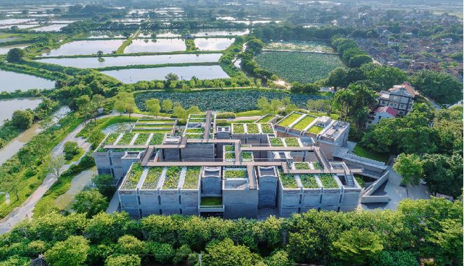 央视聚焦！解码花都“繁花”背后的振兴图景(图5)