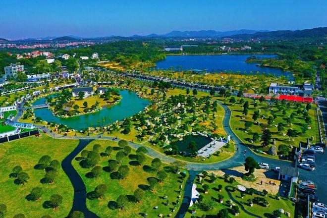 央视聚焦！解码花都“繁花”背后的振兴图景(图6)