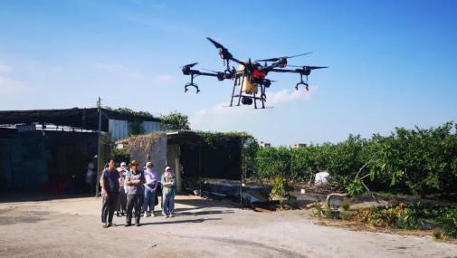 带你吃透这颗来自广州市南沙区万顷沙镇的“岭南绿宝石”(图4)