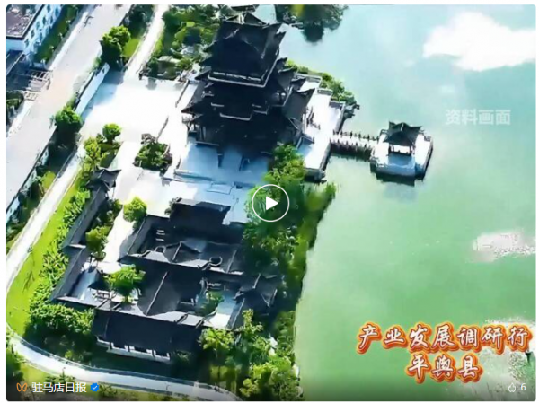 “舆”通全球“链”动未来——平舆县产业发展观察(图2)