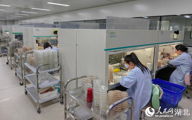 武汉勾勒“AI+农业”创新全景图(图3)