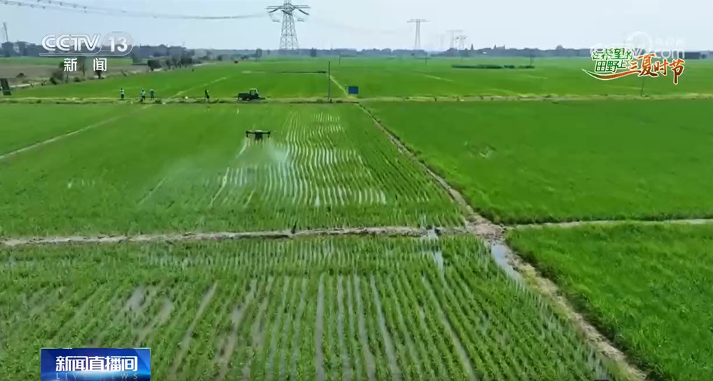 农技护航、智慧种田“三夏”时节各地都在抢农时忙耕种(图2)
