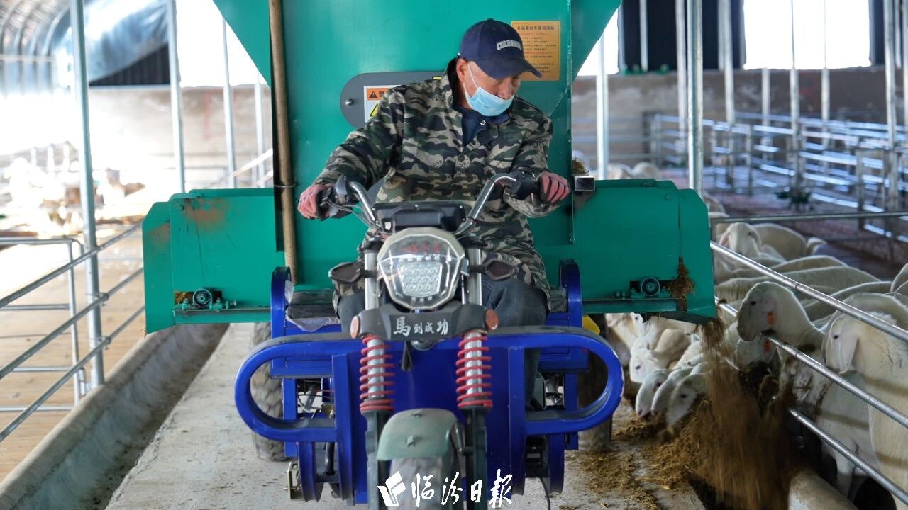 智慧农业绿色发展曲沃未来可期(图7)