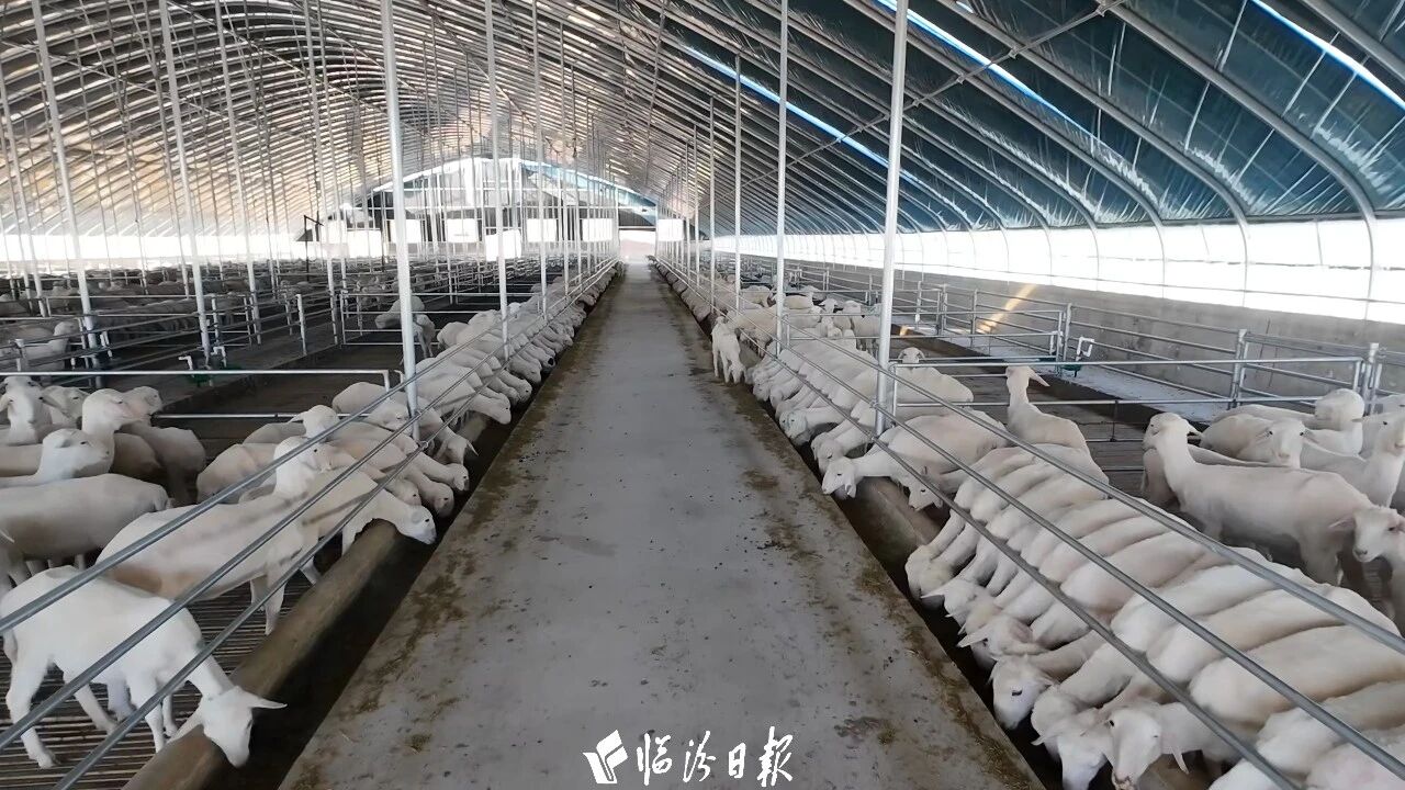 智慧农业绿色发展曲沃未来可期(图8)