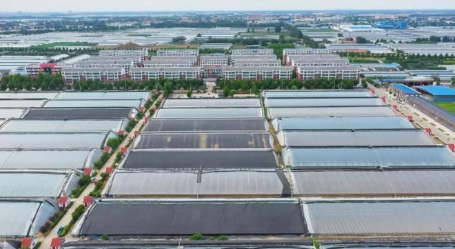 北方经济扛把子位列全国GDP第三的山东为什么如此全能(图4)