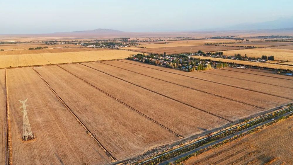 安博体育平台：科技赋能乌苏农业提质增效(图2)