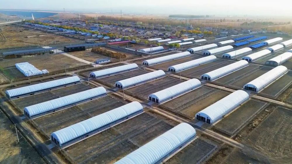 安博体育平台：科技赋能乌苏农业提质增效(图9)