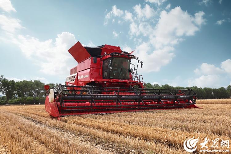 高质量发展|业绩再创新高解码潍柴雷沃智慧农业守护大国粮安的新答卷(图3)