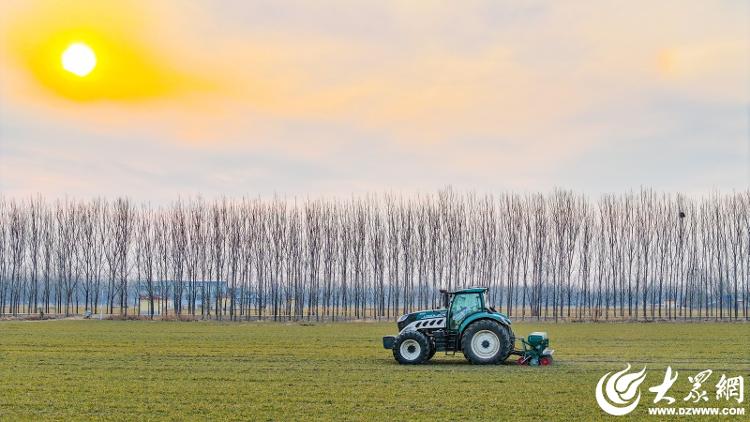 高质量发展|业绩再创新高解码潍柴雷沃智慧农业守护大国粮安的新答卷(图7)