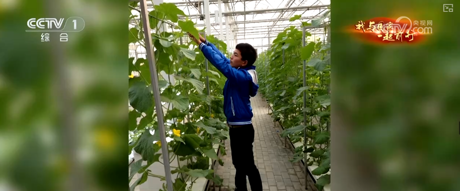 安博体育网站：“新农人”玩转智慧农业“小”菜园闯出“大”市场我与国家一起前行(图7)