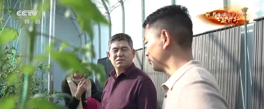 安博体育网站：“新农人”玩转智慧农业“小”菜园闯出“大”市场我与国家一起前行(图4)