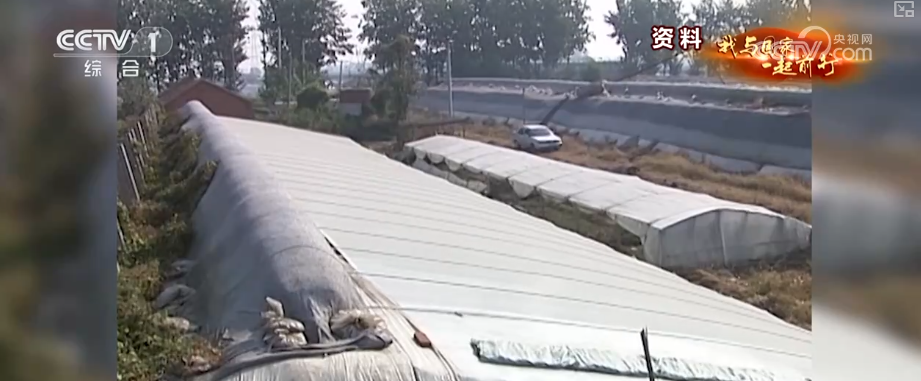 安博体育网站：“新农人”玩转智慧农业“小”菜园闯出“大”市场我与国家一起前行(图10)