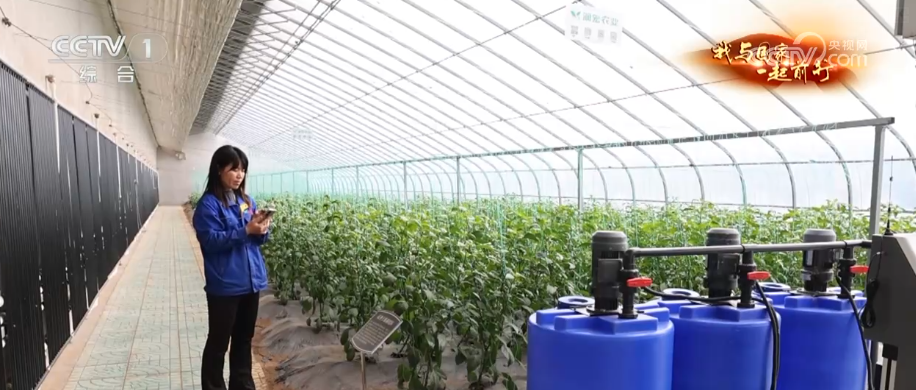 安博体育网站：“新农人”玩转智慧农业“小”菜园闯出“大”市场我与国家一起前行(图12)