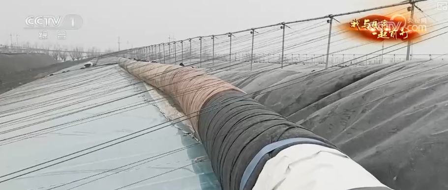 安博体育网站：“新农人”玩转智慧农业“小”菜园闯出“大”市场我与国家一起前行(图14)