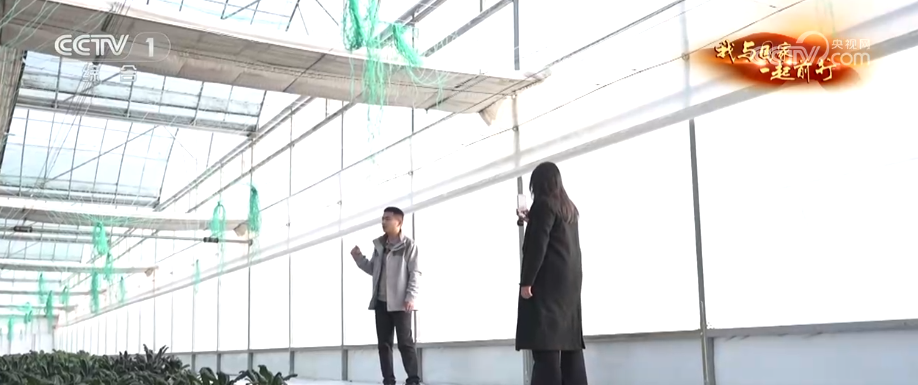 安博体育网站：“新农人”玩转智慧农业“小”菜园闯出“大”市场我与国家一起前行(图17)