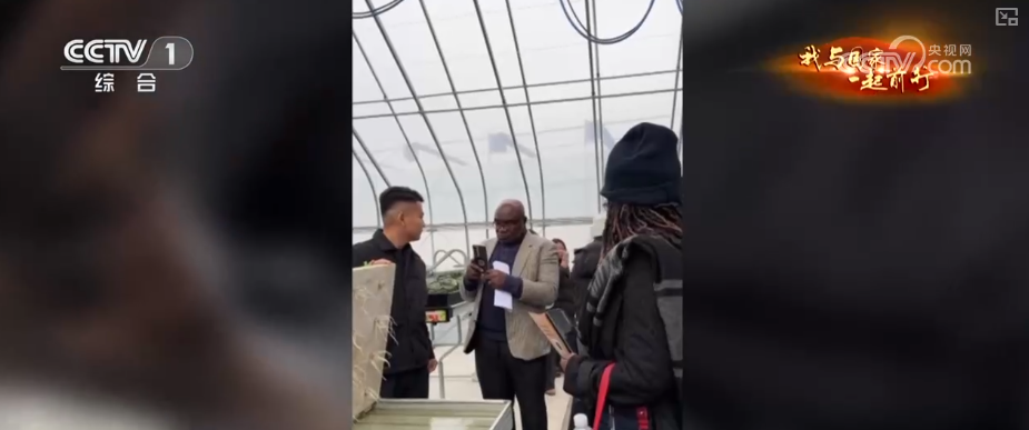 安博体育网站：“新农人”玩转智慧农业“小”菜园闯出“大”市场我与国家一起前行(图19)