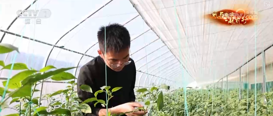 安博体育网站：“新农人”玩转智慧农业“小”菜园闯出“大”市场我与国家一起前行(图23)