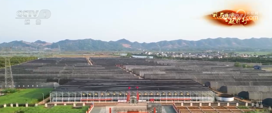 安博体育网站：“新农人”玩转智慧农业“小”菜园闯出“大”市场我与国家一起前行(图21)