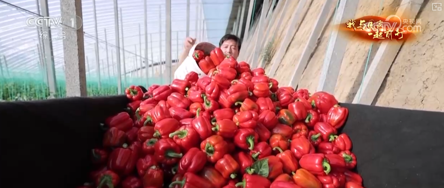 安博体育网站：“新农人”玩转智慧农业“小”菜园闯出“大”市场我与国家一起前行(图24)