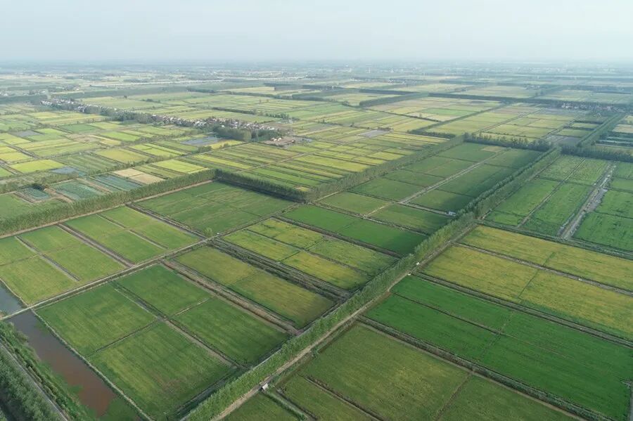 安博体育网站：运粮湖管理区迈步高质量发展新征程(图3)