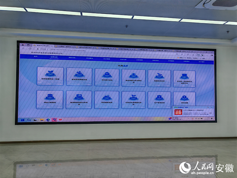 安博体育：从一粒种子到一片稻田宿州埇桥“拔节”生长(图1)