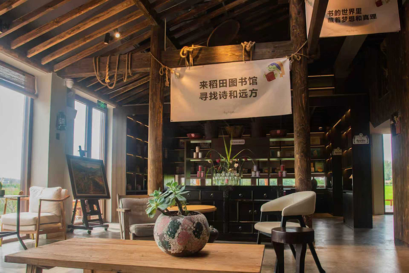 安博体育：从一粒种子到一片稻田宿州埇桥“拔节”生长(图6)