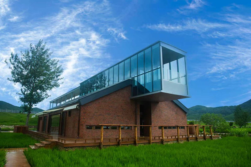 安博体育：从一粒种子到一片稻田宿州埇桥“拔节”生长(图5)