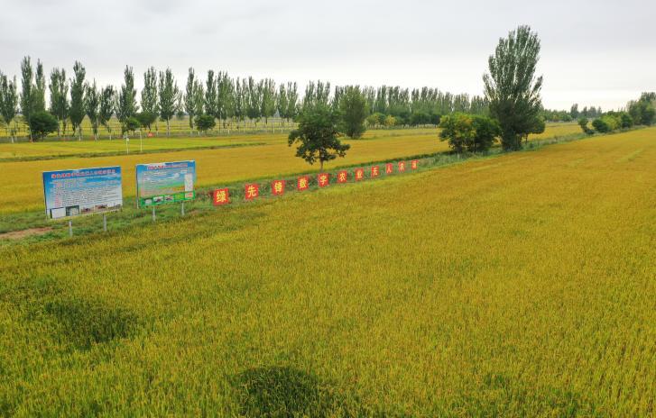 数智赋能塞上沃野银川智慧农业结硕果(图2)