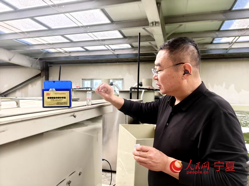 数智赋能塞上沃野银川智慧农业结硕果(图1)