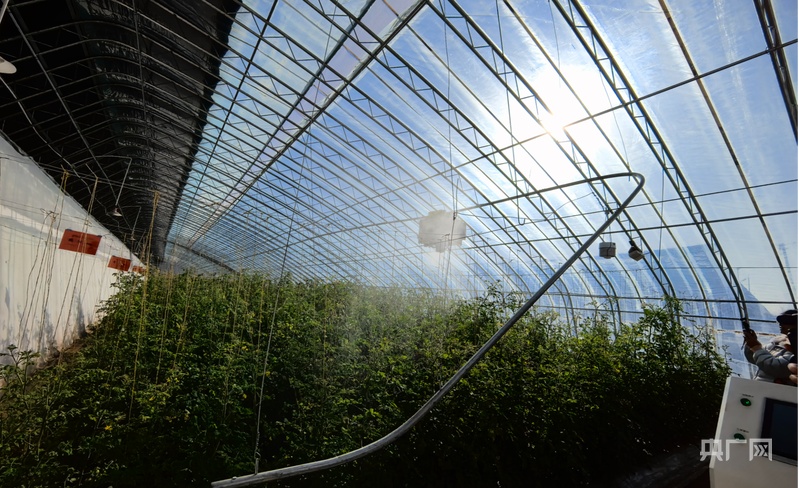 从“会种地”到“慧种地”：银川智慧农业书写新答卷(图2)