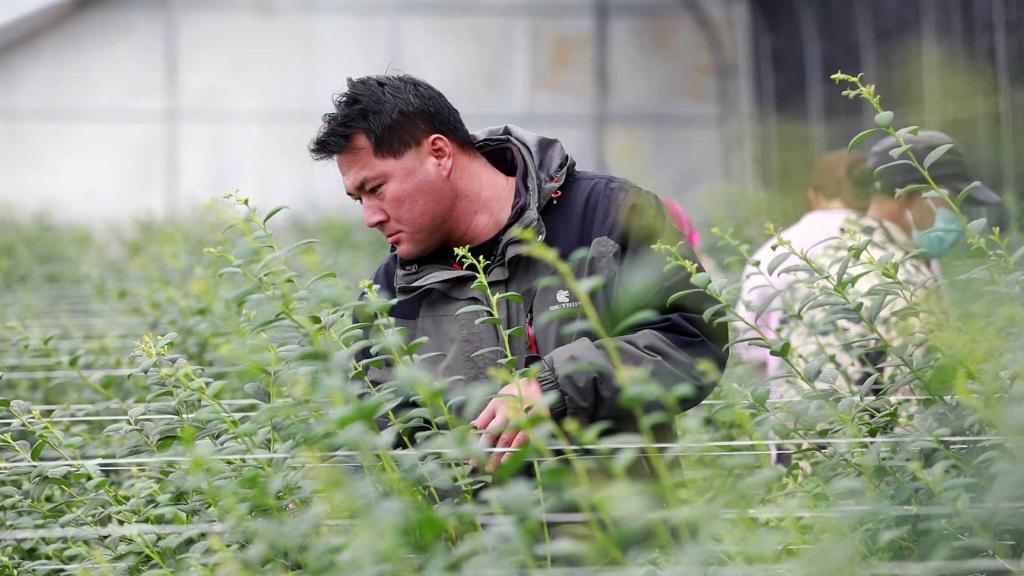 中国借助科技创新赋能农业发展(图1)