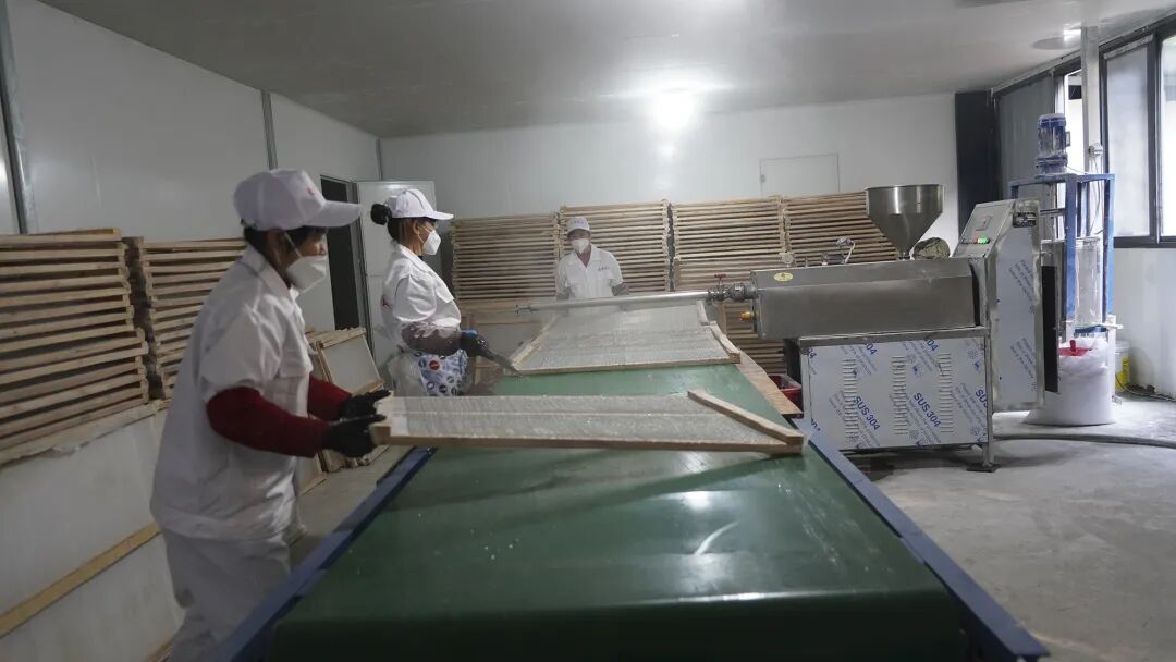 安博体育平台：【奋勇争先看老兵】小红薯大产业！退役军人石桃根带着乡亲们闯出全产业链致富路→(图2)