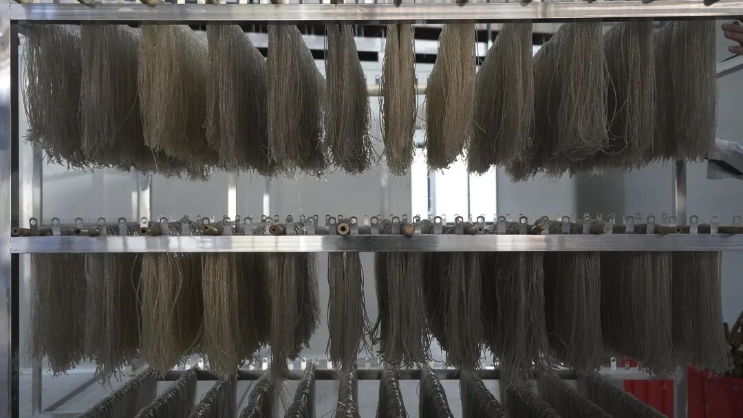 安博体育平台：【奋勇争先看老兵】小红薯大产业！退役军人石桃根带着乡亲们闯出全产业链致富路→(图3)