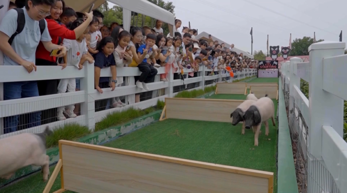 西湖龙井、金华火腿获批成立国家地理标志保护示范区(图6)