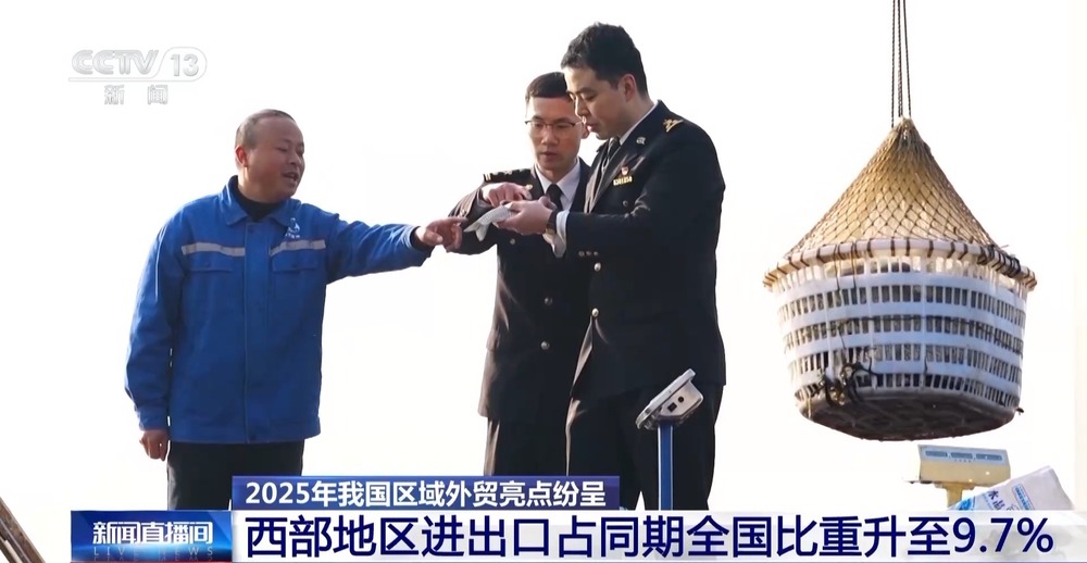 “压舱石”更稳固2025年我国区域外贸亮点纷呈(图8)